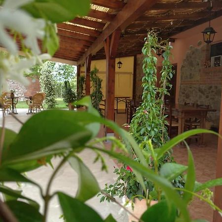 Agriturismo Il Selvello Le Versegge 외부 사진