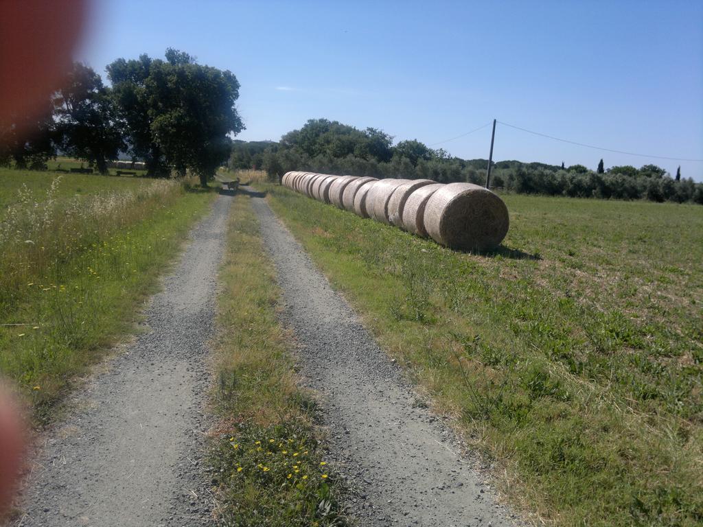Agriturismo Il Selvello Le Versegge 외부 사진