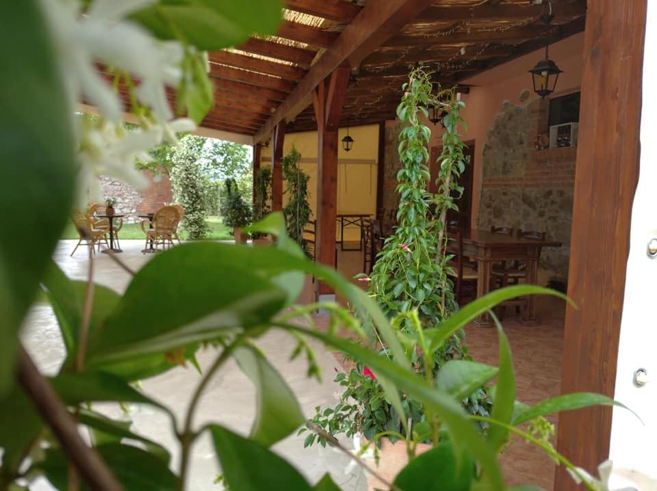 Agriturismo Il Selvello Le Versegge 외부 사진