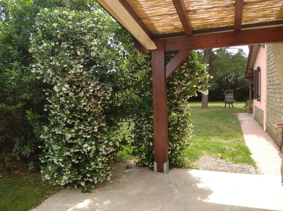 Agriturismo Il Selvello Le Versegge 외부 사진