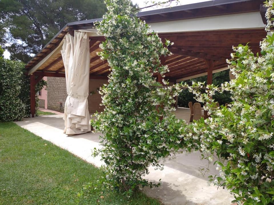 Agriturismo Il Selvello Le Versegge 외부 사진